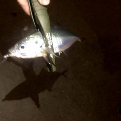 仕事終わり四目ライトゲーム