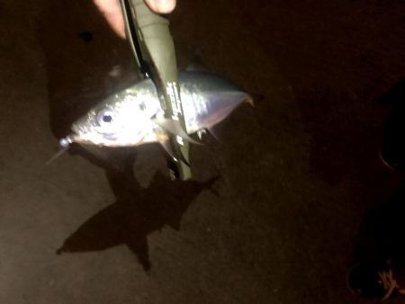 仕事終わり四目ライトゲーム