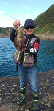 ソーシャルディスタンスの中アオリイカ