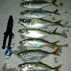 先週のリベンジ