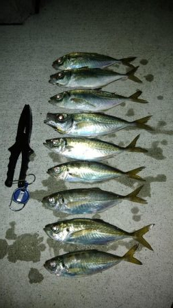 先週のリベンジ