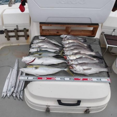 遊漁船SOUTH　11/11釣果