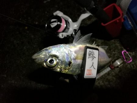 （2020/11/12 南港アジング　 ☆…