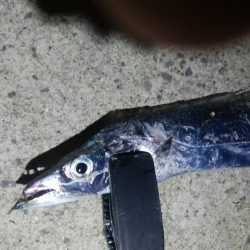 スローに誘って