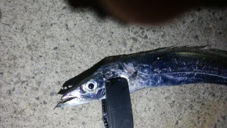 スローに誘って