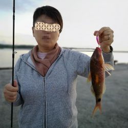 夫婦で朝マズメ