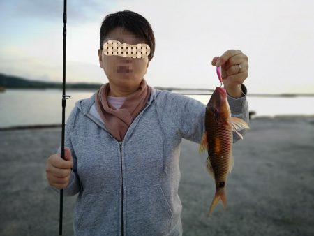 夫婦で朝マズメ