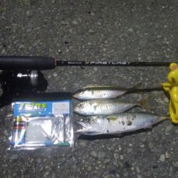 釣りデビュー　4日目