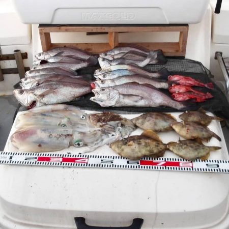 遊漁船SOUTH(サウス)釣果