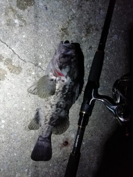 ライトロックゲーム