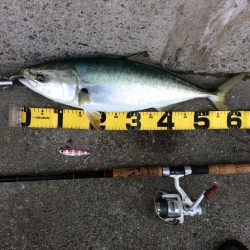 早朝のプチsalt water game！