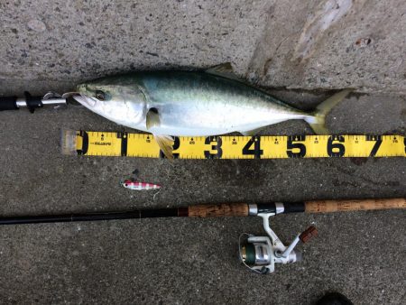 早朝のプチsalt water game！…