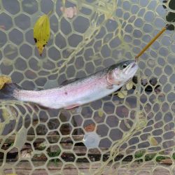 久しぶりのエリア！