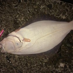 魚より釣り人多し