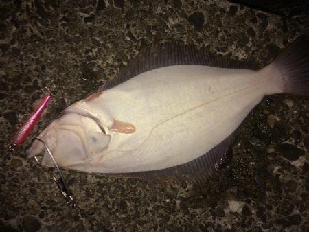 魚より釣り人多し