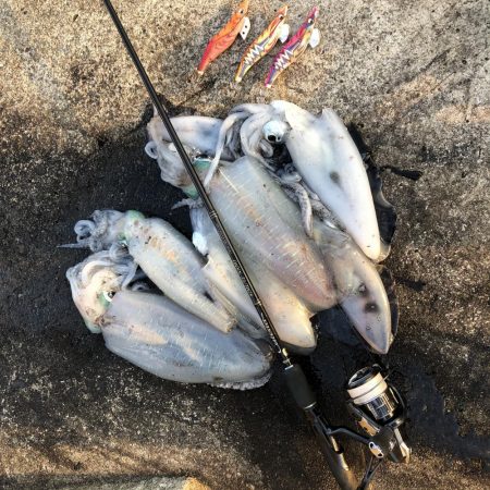 2020 佐渡ヶ島エギング 40回目