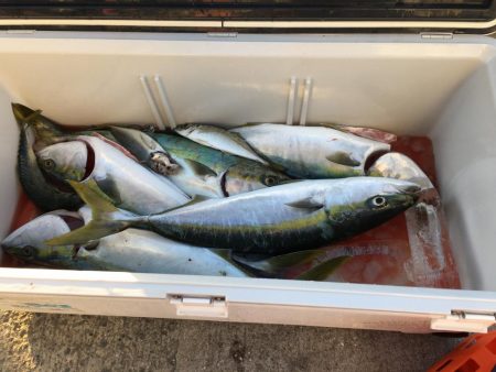 初の飲ませ釣り