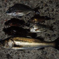 最後にようやくハネ