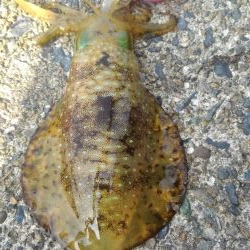 ラッキーなのか❓