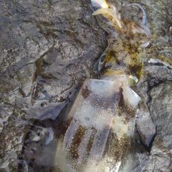 厳しかったです❗