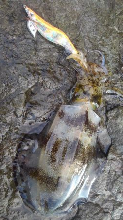 厳しかったです❗