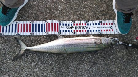 結果オーラ(*^^*)