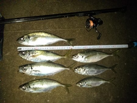 (尺アジ)フロートゲーム