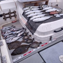 SOUTH(サウス) 11/1釣果