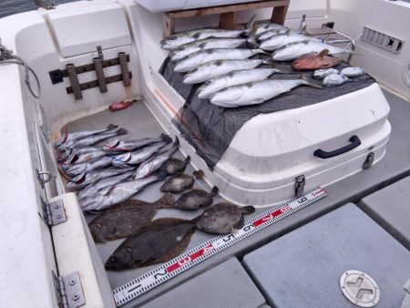 SOUTH(サウス) 11/1釣果