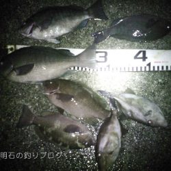 渋い中から28cm！