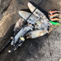 2020 佐渡ヶ島エギング 38回目