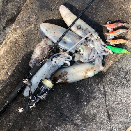 2020 佐渡ヶ島エギング 38回目