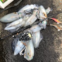 2020 佐渡ヶ島エギング 39回目