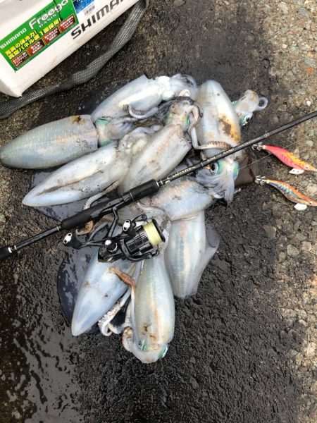 2020 佐渡ヶ島エギング 39回目