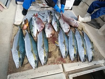 大物釣果速報！●光義丸：平戸市早福港