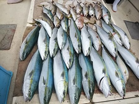 大物釣果速報！●光義丸：平戸市早福港