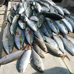 大物釣果速報！●光義丸：平戸市早福港