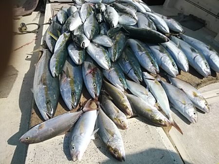 大物釣果速報！●光義丸：平戸市早福港