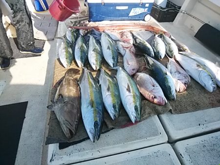 大物釣果速報！●光義丸：平戸市早福港