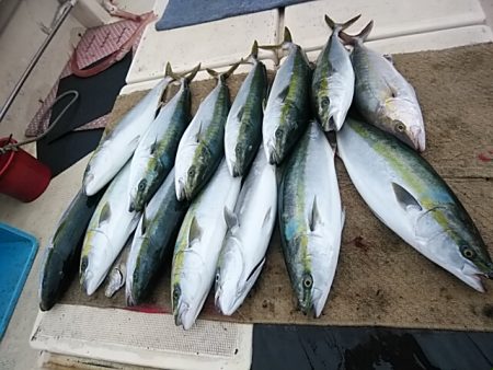 大物釣果速報！●光義丸：平戸市早福港