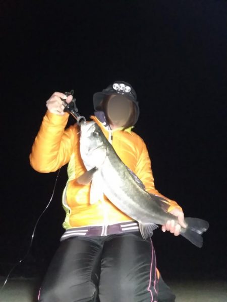 牡鹿半島シーバス