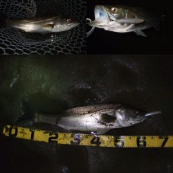 パターンを掴んで連発