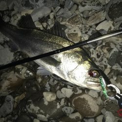 ドブから清流へ