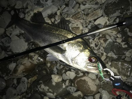 ドブから清流へ