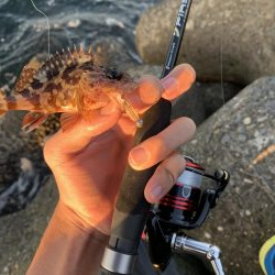 ライトゲーム！！