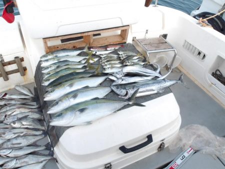 遊漁船SOUTH(サウス)11/18釣果