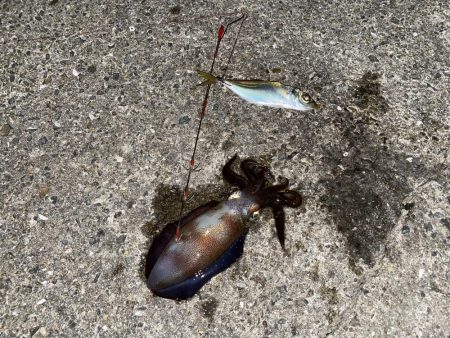 ヤエンに行ったのに