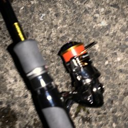 無風のアジング釣行