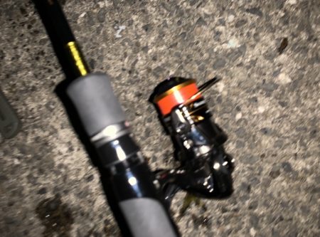 無風のアジング釣行