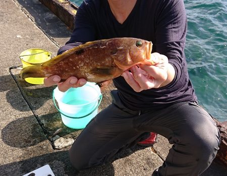 毎度です。時期外れ？な良型釣れました。